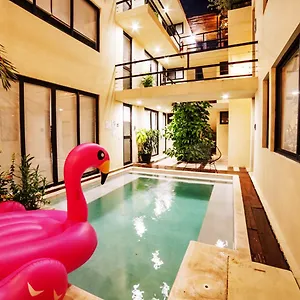 book here
